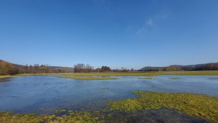 wiese