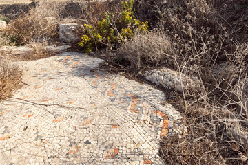 Remains  of an ancient mosaic of a 6th-century Orthodox church at Tel Shikmona, on the shores of...