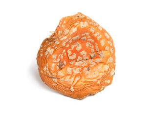 Dried Amanita muscaria, commonly known as the fly agaric or fly amanita. Isolated on white background