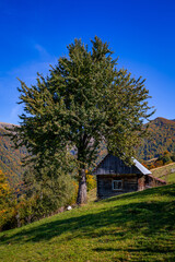 Plakat Wooden house for tourists in the autumn Carpathian mountains.
