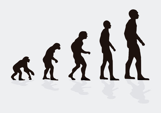 Silueta negra de la evoluci&oacute;n del ser humano.