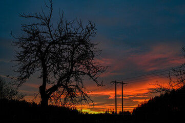 powerline infront of orange sunset with clouds