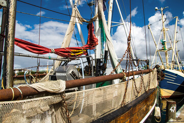 Obraz premium Augenblicke an der Nordsee