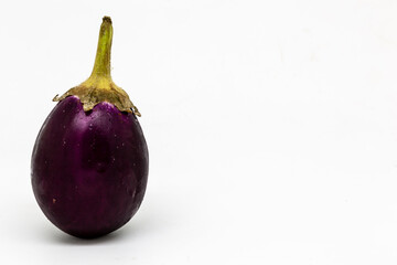 A Baby Aubergine/Eggplant Against a White Background, with Copy Space