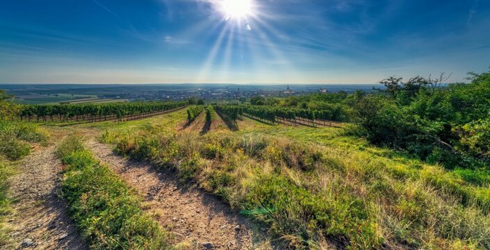 Lower Austria Landscape Near Retz