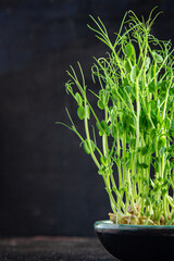 green peas green seedlings microgreens meal snack on the table copy space food background rustic. top view keto or paleo diet veggie vegan or vegetarian food