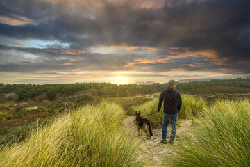 A man walks with his dog a German Shepherd on a sandy path between marram grass over the top of a dune on the coast of Zeeland near Burgh-Haamstede with warm colors setting sun in the background