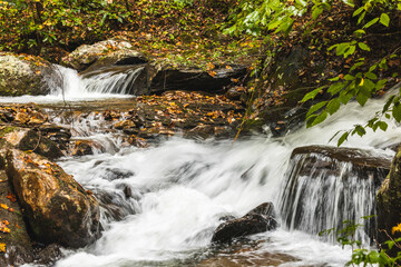 Naklejka na ściany i meble Rapid rivers with waterfalls with fall leaves