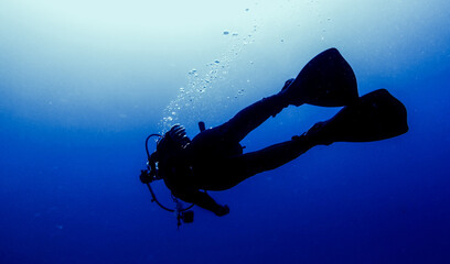 Scuba divers at sea