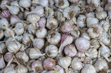 Stack of Organic Garlic in a Market for Selling in Horizontal Orientation