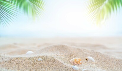 summer sand beach background with shell and blurred palm leaves on daylight 