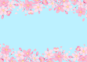 Obraz na płótnie Canvas Cherry Blossoms Frame, Light Blue Background
