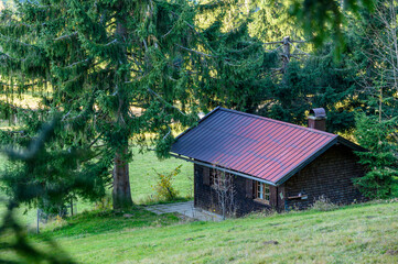 kleine Hütte im Wald
