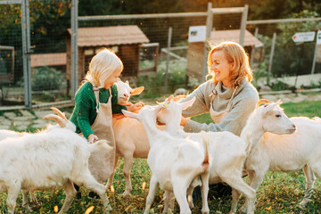 Happy smiling mom and little daughter feed and care for goats on the farm.