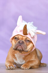 French Bulldog dog with wearing a funny knitted pink unicorn hat costume in front of pink background
