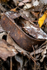 Old fish can with ryst in the forest
