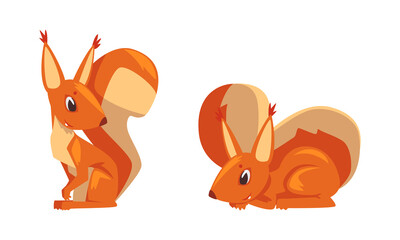 Funny Furry Squirrel Animal with Bushy Tail and Orange Coat Sitting Vector Set