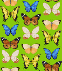 Seamless pattern with butterflies. Forest background. Hand-drawn illustration, colored