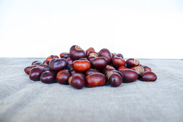 Heap of chestnuts on textile