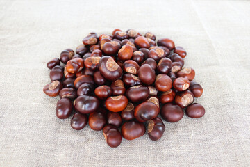 Heap of chestnuts on textile background