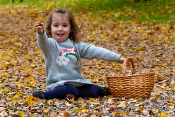 Little girl sitting on the floor picking chestnuts in a wicker basket