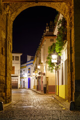 Fototapeta na wymiar Alley at night behind an entrance arch in the wall of Cordoba, Andalusia.