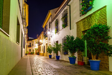 Picturesque alley with old houses, flowerpots and flowers in a night atmosphere. Cordoba Spain.