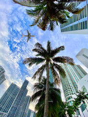 Fototapeta na wymiar Miami Brickel Plane