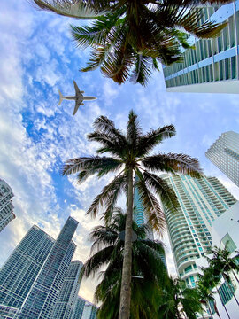 Miami Brickel Plane