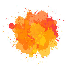 Water color Splash vector image 