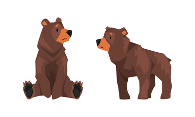 Wild Brown Grizzly Bear as Forest Habitant in Standing and Sitting Pose Vector Set