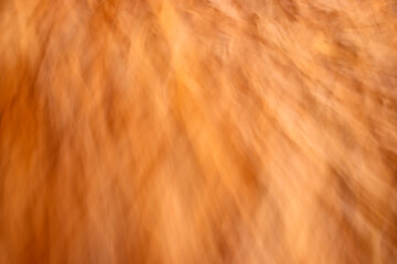 brown fur background