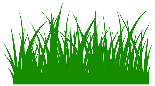 Grass silhouette. Green horizontal border. Meadow symbol