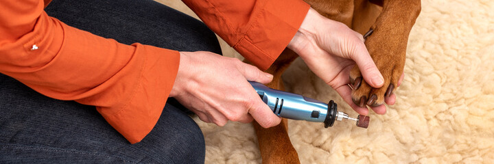 Dog nails grinding banner. Woman using a dremel to shorten dogs nails. Pet owner dremeling nails on...