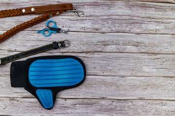 Dog accessories on wood background. Blue rubber grooming glove, claw clipper, brown leather leash...