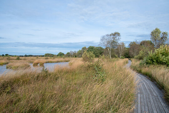 Moorsee am Holzbohlenweg am Naturlehrpfad Ewiges Meer in Eversmeer im Herbst