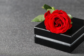 Single red rose flower with black gift box on blurred dark silver glitter background.