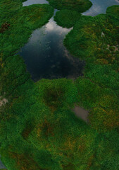 Aerial view of natural pond surrounded by trees in Murovani Kurylivtsi, Vinnytska oblast The river Zhvan. Autumn cloud day. vertical photo. Ukraine