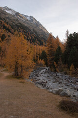 Fototapeta na wymiar Colors of the autumn in St. Moritz.
