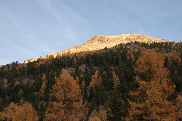 Colors of the autumn in St. Moritz.
