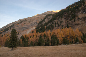 Colors of the autumn in St. Moritz.