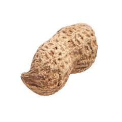  Single peanut with shell isolated on a white background