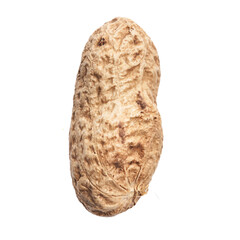  Single peanut with shell isolated on a white background