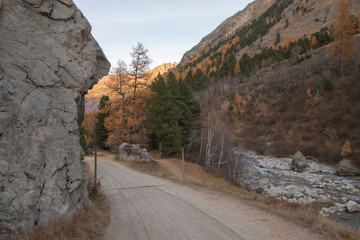 Colors of the autumn in St. Moritz.