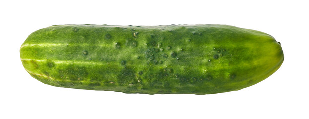  Single cucumber isolated on a white background