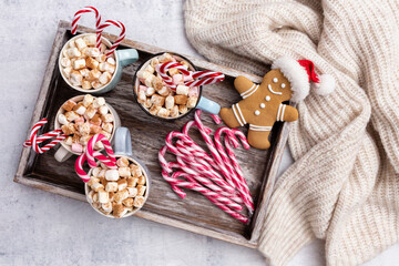 Gingerbread with mug of hot chocolate and christmas candy cane.