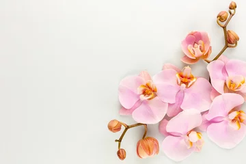 Rolgordijnen Pink spa orchid theme objects on pastel background. © gitusik