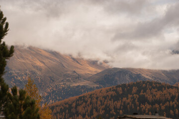 Colors of the autumn in St. Moritz.