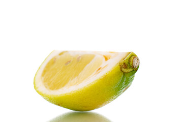 One fragrant slice of ripe bergamot, close-up, isolated on white.
