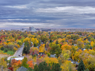 Street leads to the Boise Skyline with fall trees